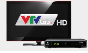 Điều khoản sử dụng VTVCab