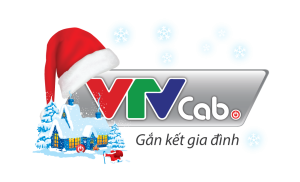 Đường dây nóng lắp đặt Internet VTVCab