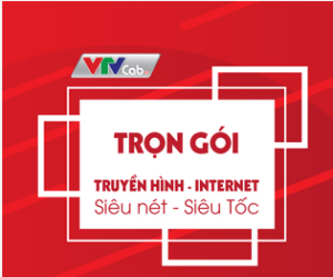 Đơn vị lắp đặt, bảo hành VTVCab Hạ Long 0888081515